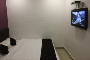 TV a/nebo společenská místnost v ubytování Hotel Fortune