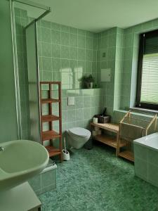 a bathroom with a toilet and a shower and a sink at Monteur- und Ferienwohnung in Hainichen - Obergeschoss oder Dachgeschoss - Familie Weber in Bockendorf