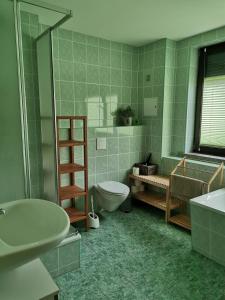 ein Bad mit einem WC, einer Dusche und einem Waschbecken in der Unterkunft Monteur- und Ferienwohnung im Obergeschoss und Dachgeschoss - Familie Weber in Bockendorf