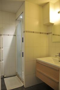 y baño con ducha y lavamanos. en La Source du Broly en Soumagne