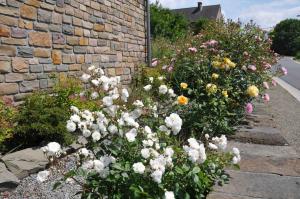 a bunch of flowers in front of a brick wall at La Source du Broly in Soumagne