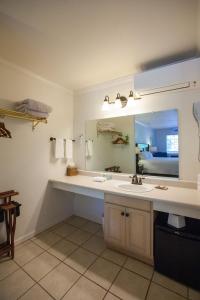 een badkamer met een wastafel en een grote spiegel bij The Jack London Lodge in Glen Ellen