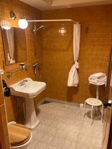 Vonios kambarys apgyvendinimo įstaigoje Börsen Apartment Suites