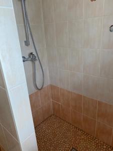 a bathroom with a shower with a tiled floor at Gîte Célia in Sélestat