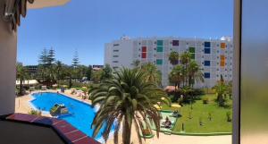 vistas a una piscina con palmeras y a un edificio en Casa AURORA-Agaete Parque - Playa del Inglés en San Bartolomé