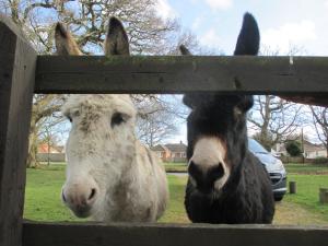 Gallery image of Hops Main House, Brockenhurst, New Forest in Brockenhurst