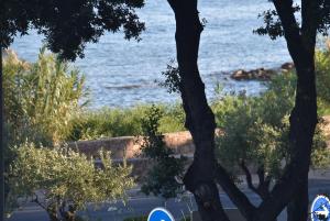 a view of the ocean from behind some trees at BRILOC Appartement Route des îles Sanguinaires in Ajaccio +2 photos