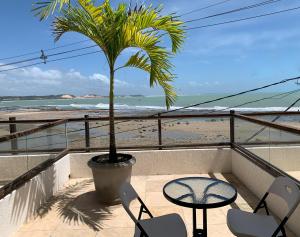 a palm tree on a balcony with a view of the beach at Casa Praia da Pipa in Pipa