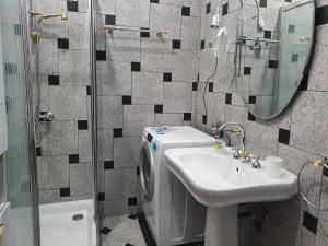 a bathroom with a sink and a washing machine at Apartments Fazarinc in Celje