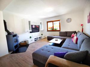 ein Wohnzimmer mit einem Sofa und einem TV in der Unterkunft DD Apartments Zell am See in Zell am See
