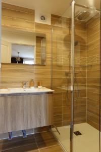 a bathroom with a shower and a sink at les Tours de Bombel in Saint-Amand-de-Coly