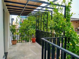 Balkón nebo terasa v ubytování Avea Accommodation