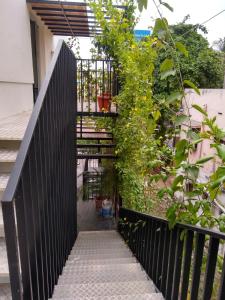 Balkón nebo terasa v ubytování Avea Accommodation