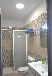 uma casa de banho com um chuveiro, um WC e um lavatório. em Apartamentos Casa Junonia em Alajeró