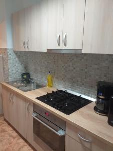 a kitchen with a stove top oven next to a sink at Muntean Residence in Sibiu +7 photos