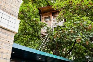 Zahrada ubytování Treehouse Inn
