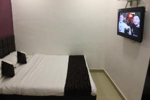 TV a/nebo společenská místnost v ubytování Hotel Fortune