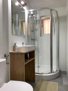 ein Bad mit einer Dusche und einem Waschbecken in der Unterkunft Tomasza 5 in Jelenia Góra