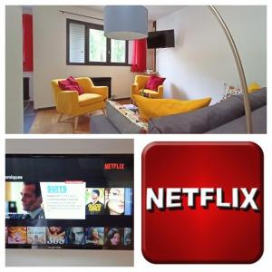 sala de estar con TV y sala de estar con netflix en Le calme à 5 mn du centre ville - La Lisière T2 en Bonneville