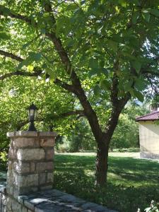 A garden outside Optasia