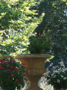 A garden outside Optasia