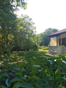 A garden outside Optasia