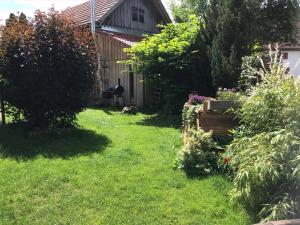 einen Hinterhof mit einem Garten mit Gras und Pflanzen in der Unterkunft Die Dirndlkönigin in Grünenbach