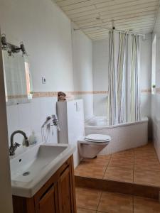 ein Badezimmer mit Waschbecken, Toilette und Dusche in der Unterkunft Bei Chogman in Gronau