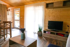 a living room with a flat screen tv on a wooden wall at NaposOldal Vendégház in Tapolca