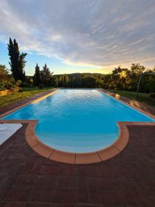 a large pool with blue water in a backyard at Lucignano apartments in Lucignano