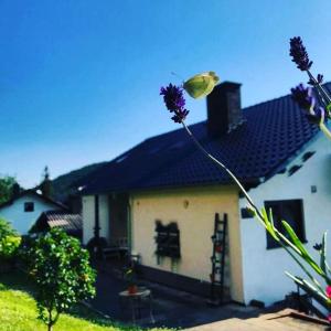 una mariposa en una flor frente a una casa en Ferienwohnung Berges, en Lago Éder