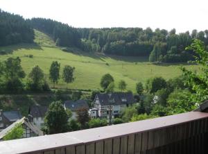 Blick auf ein grünes Feld und Häuser in der Unterkunft Kleine Auszeit Winterberg in Winterberg