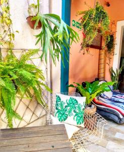 a bench sitting next to a wall with plants at Hospedaria Rio in Rio de Janeiro