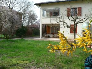 a house with a bunch of yellow flowers in the yard at La Quercia e il Gelso in Baricella