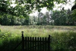 un banco de madera en un campo de hierba alta en Huisje venzicht 7 en Spier