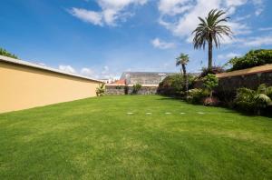 a yard with green grass and a wall and palm trees at Casas Amarelas Azores in Ponta Delgada