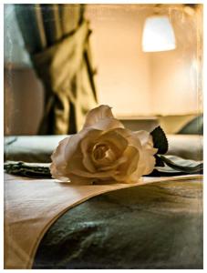 Fotografie z fotogalerie ubytování Bed and Breakfast Nonna Loreta v destinaci Formello