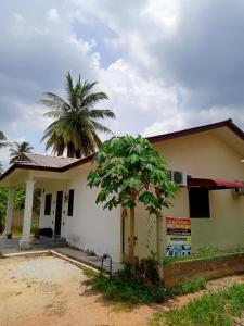 een huis met een palmboom ervoor bij Homestay Idaman di Kuala Terengganu dengan 2 Bilik Aircond - Harga utk 1 rumah in Kuala Terengganu