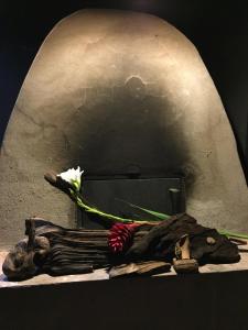 Fotografie z fotogalerie ubytování Hostería de Río - C92 v destinaci Gutiérrez Zamora