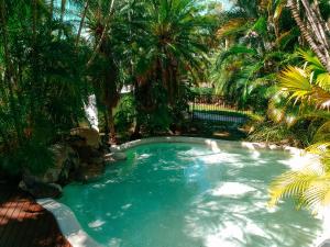 a swimming pool with palm trees in a resort at Beach Terraces in Port Douglas