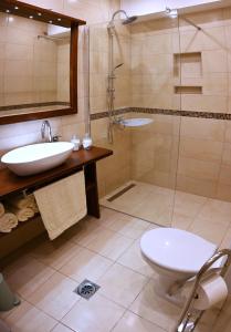 a bathroom with a toilet and a sink and a shower at Apartman Andric 2 in Valjevo