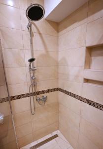 a bathroom with a shower with a shower head at Apartman Andric 2 in Valjevo