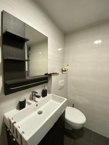 een badkamer met een witte wastafel en een toilet bij Apartma LUPIS in Podvolovljek