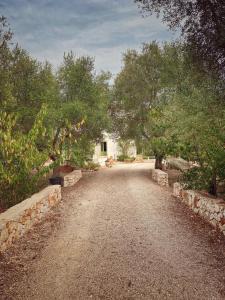 una strada sterrata con una casa in lontananza di B&B Giovannarolla Green House a Ostuni