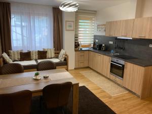 Kuchyň nebo kuchyňský kout v ubytování Apartmany Arber