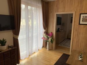 TV a/nebo společenská místnost v ubytování Apartmany Arber
