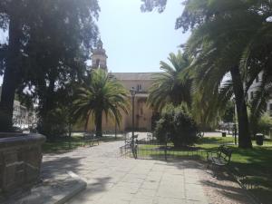 a park with benches and palm trees in front of a building at Apartamento Loft La Magdalena in Córdoba