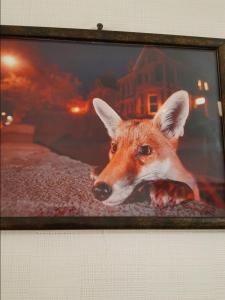 a picture of a fox in a picture frame at Квартира возле парка Б. Хмельницкого (центр) из первых рук in Chernihiv
