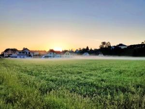 Blick auf den Sonnenuntergang/Sonnenaufgang von der Ferienwohnung aus oder aus der Nähe