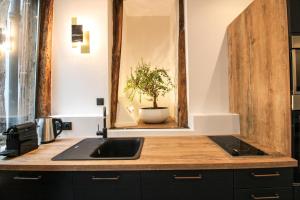 a kitchen with a sink and a potted plant at L'Atelier 1742 - Atypique jacuzzi Rouen Centre in Rouen